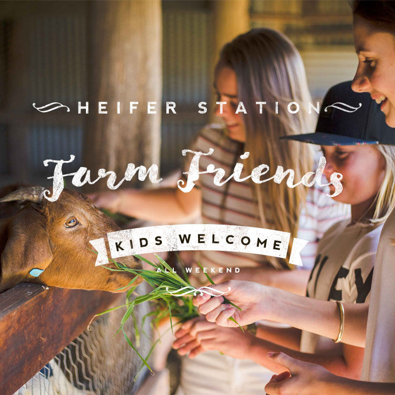 Kids funny farm Heifer Station