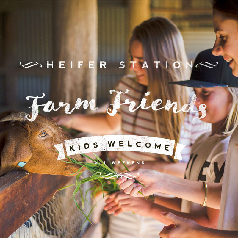 Kids petting Zoo Heifer Station